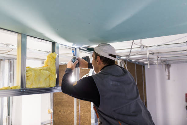 Best Crawl Space Insulation  in Wilder, ID