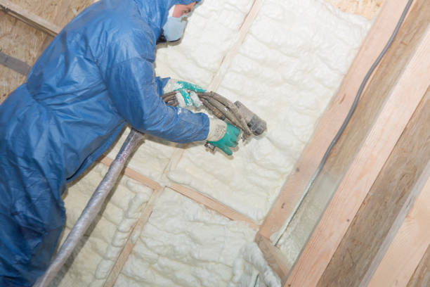 Best Attic Insulation Installation  in Wilder, ID